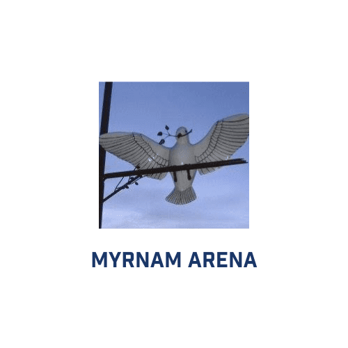 myrnam Arena