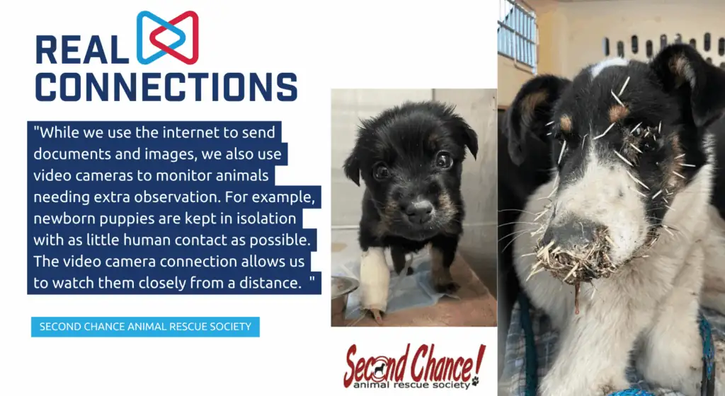 Community Connections Second Chance Animal Rescue Society