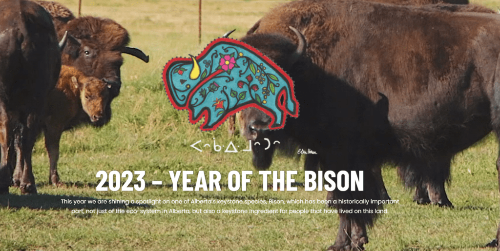 2023 - Year of the Bison log with images of bison in a field.