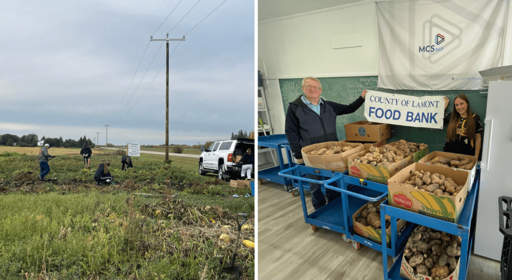 County of Lamont Food Bank gets potatoes donated from the River City Hornets.