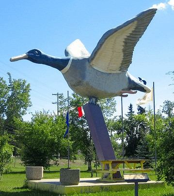The World's Largest Mallard Duck statue in Andrew, Alberta