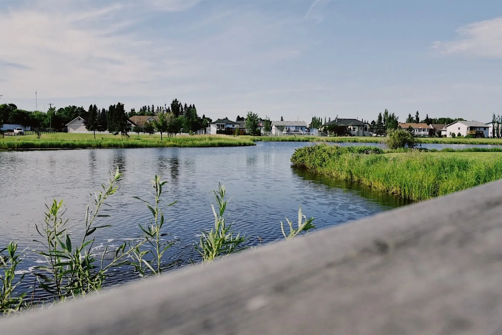 Pond and residential neighbourhood in Daysland, Alberta