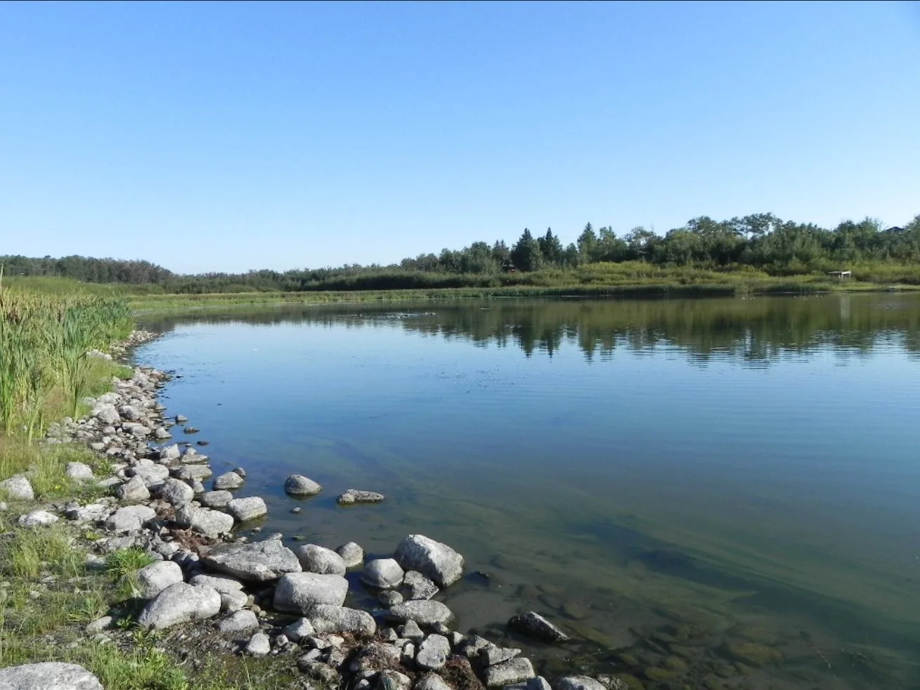 Shoreline scenery at the Summer Village of Horseshoe Bay on Vincent Lake, Alberta